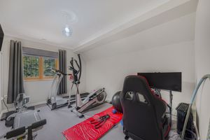 Photo 81- click for photo gallery